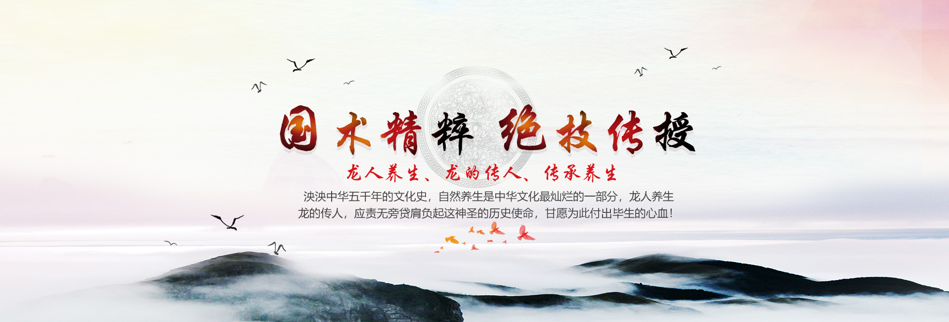 龙人养生 国术精粹传授